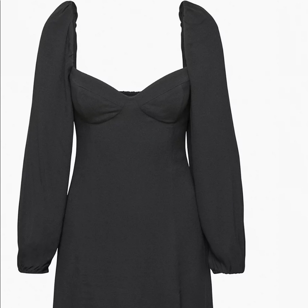Aritzia Novella Dress